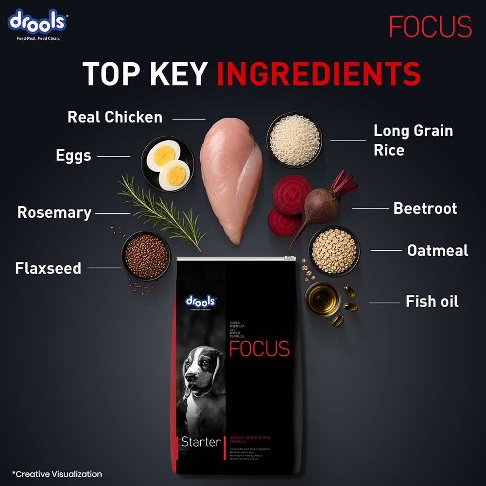 Drools Focus Super Premium Starter Dog Dry Food | Corn & Wheat Free Formula image 7