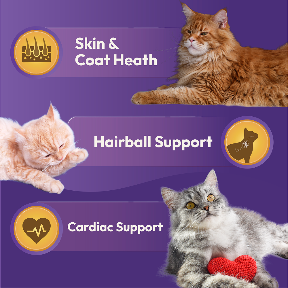 DatGud Chicken & Wild Fish Adult Cat Dry Food image 10
