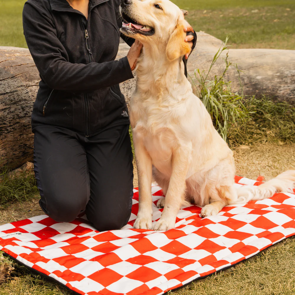 Pet Set Go Cozy Checks Mat for Dogs and Cats (Red) image 3
