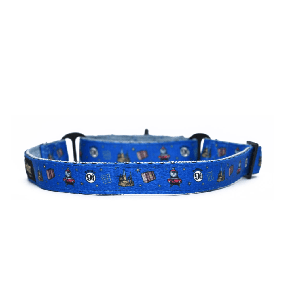 Harry Potter Welcome To Hogwarts Martingale Collar for Dogs image 3