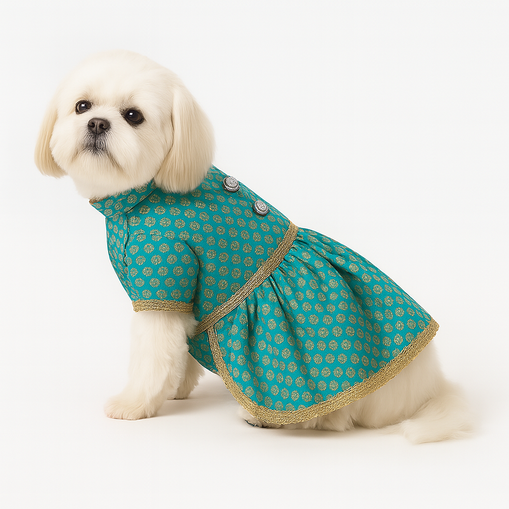 Pawsindia Traditional Royal Brocade Dress for Dogs (Aqua Green)