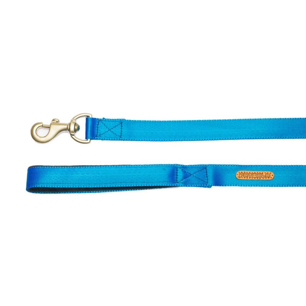 PetWale Long Lead Nylon Leash for Dogs (Blue) image 2