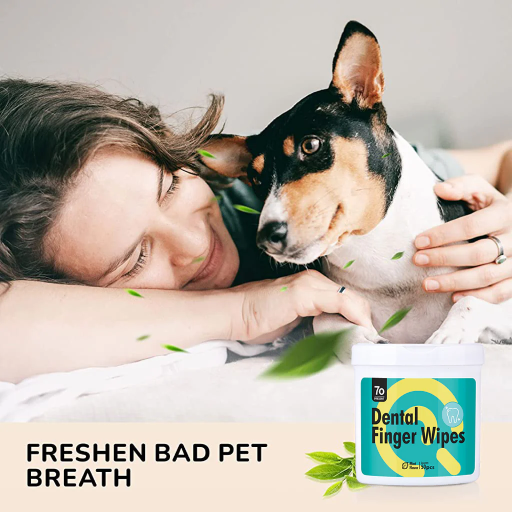 QPets Finger Dental Wipes for Dogs and Cats image 5