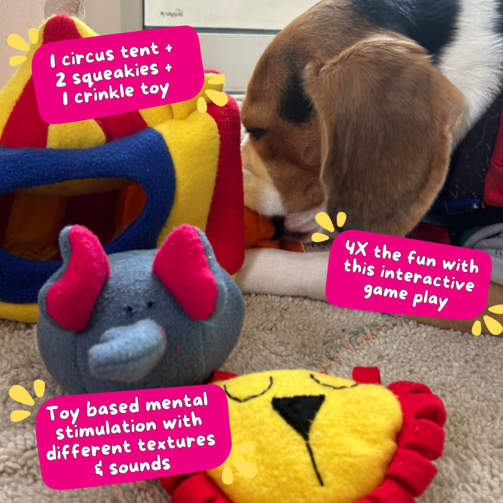 For The Love Of Dog Hide and Seek Squeaky Circus Toy for Dogs image 2