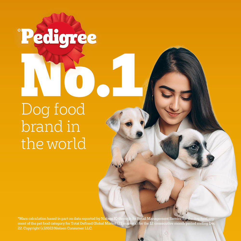 Pedigree Chicken and Milk Puppy Dry Food image 6