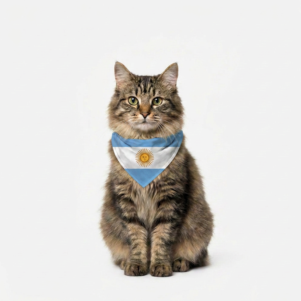 Skatrs Argentina Flag Supporter Bandana for Pets & Pet Parents image 6