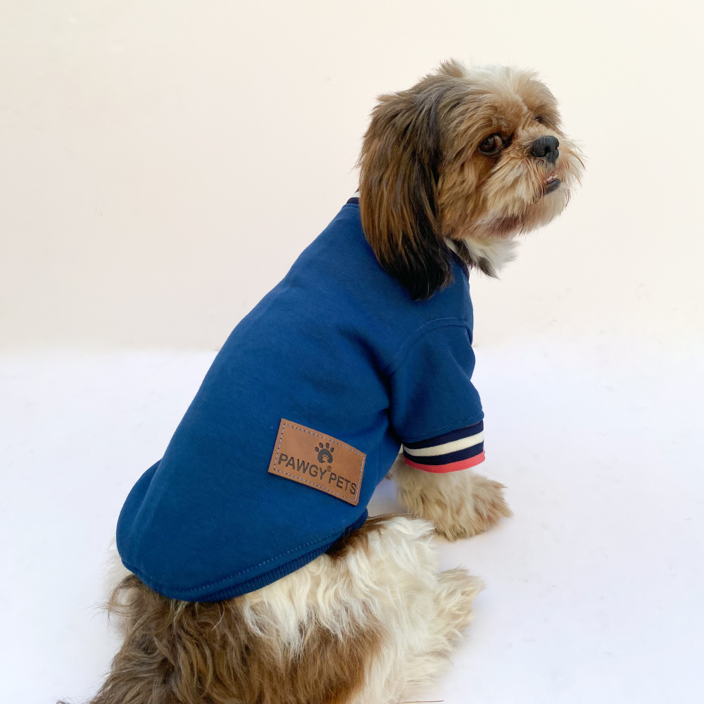 Pawgypets Candy Blue Sweatshirt for Dogs and Cats image 4
