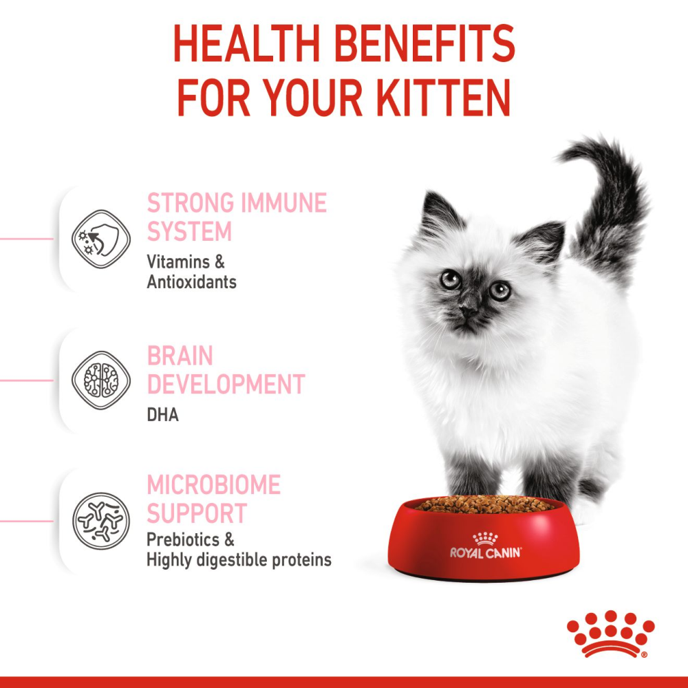 Royal Canin Kitten Cat Dry and Wet Food Combo image 5