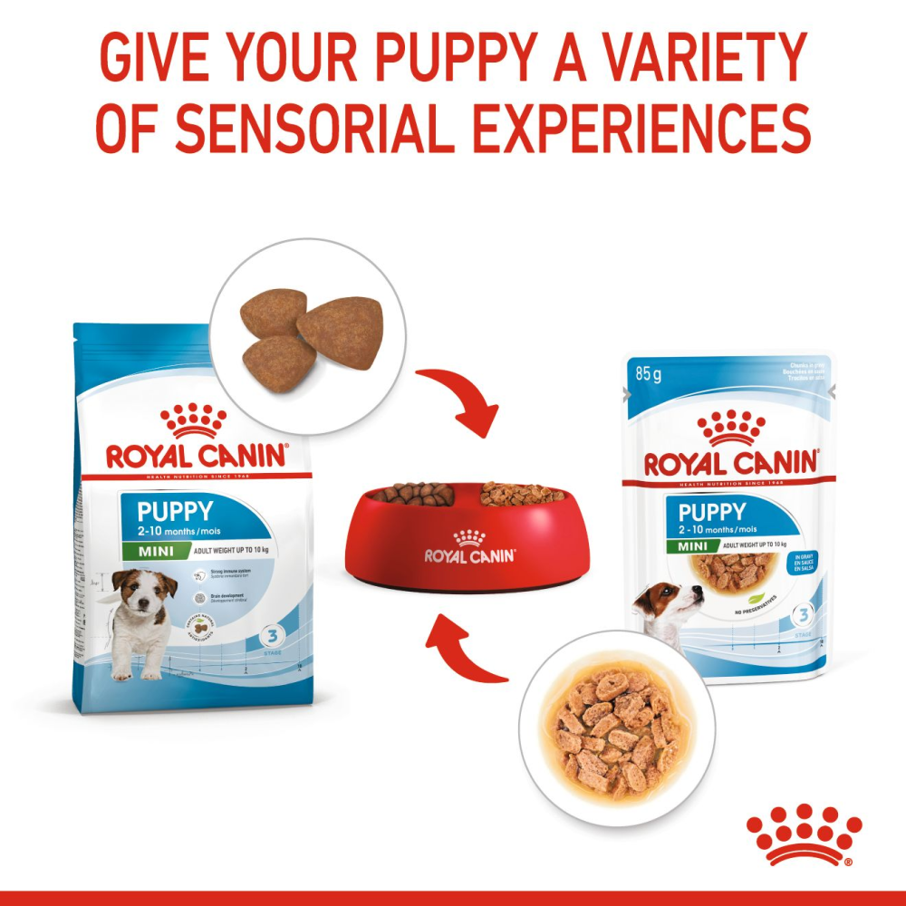 Royal Canin Mini Puppy Gravy Dog Wet Food image 6