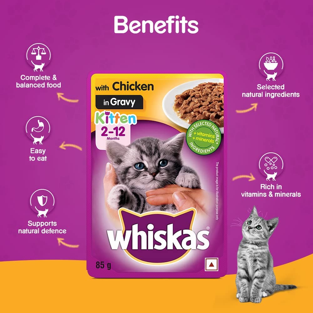 Whiskas Chicken in Gravy Meal Kitten Wet Food and Ocean Fish Kitten Dry Food Combo image 10