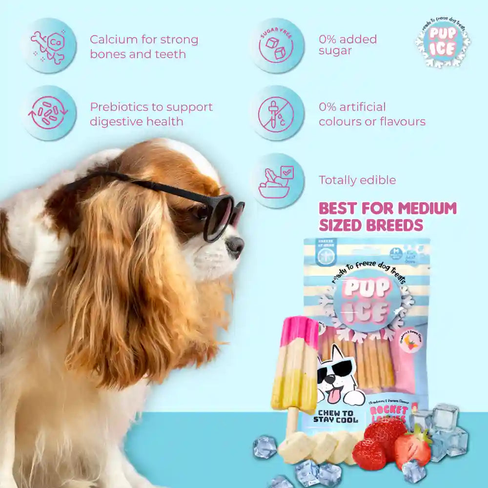 Pup Ice Meat Free Strawberry and Banana Flavoured Rocket Lollies Dog Treat image 2