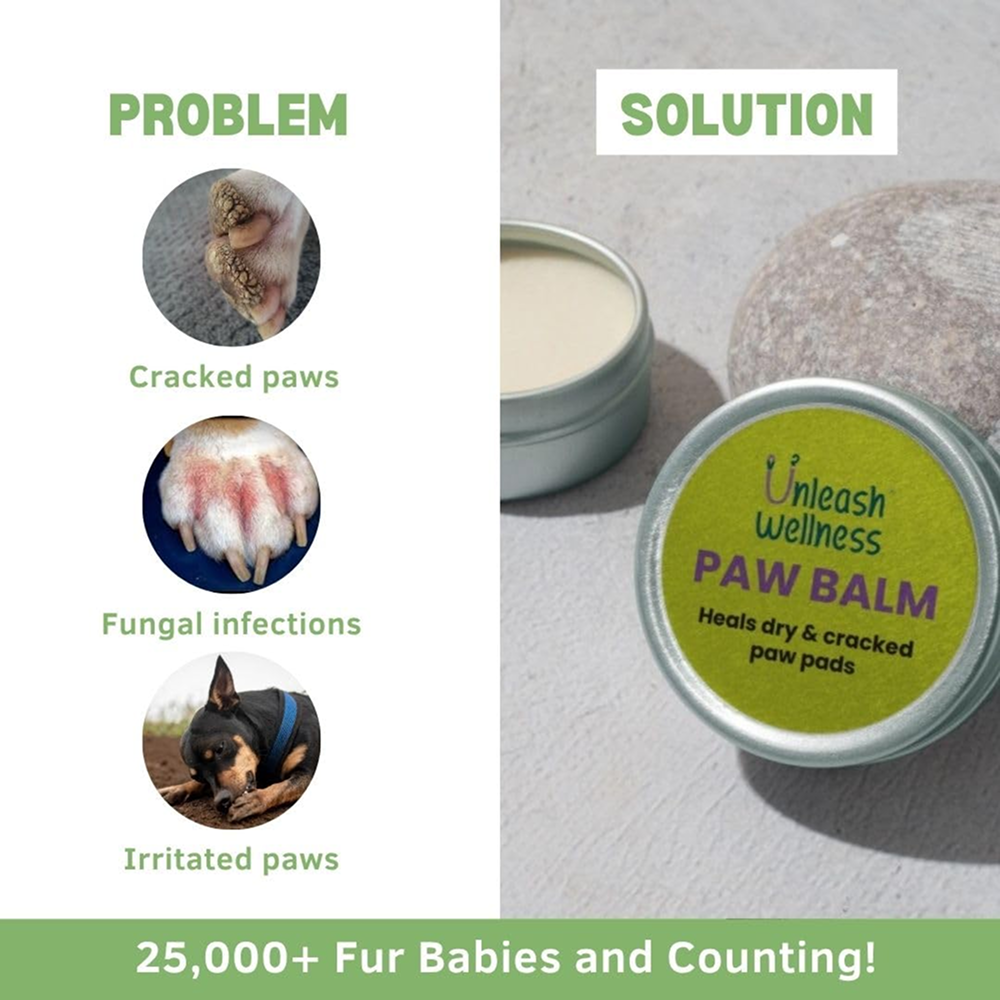 Unleash Wellness Natural Paw Balm for Dogs and Cats image 2