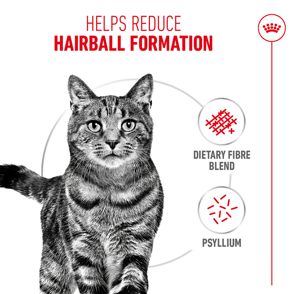 Royal Canin Hairball Care Food for Adult Cat Dry Food image 4