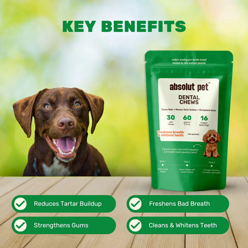 Absolut Pet Oral Care Plaque & Tartar Remover Chews Dog Supplements image 2