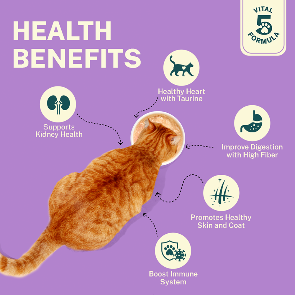 Smylo Kitten Chicken & Liver, Pomegranate, Fresh & No-Preservative Wet Cat Food image 8