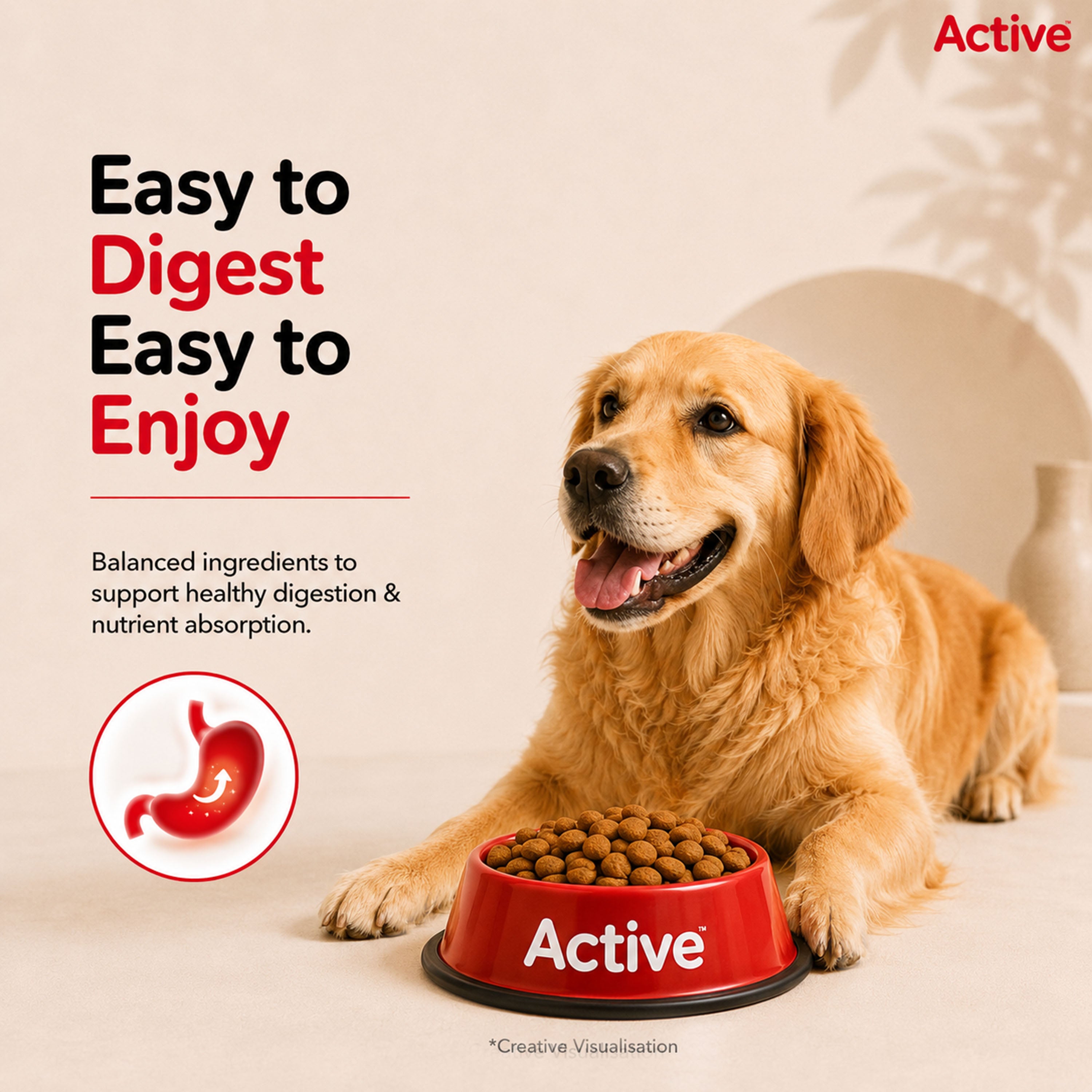 Active Chicken and Vegetables Adult Dog Dry Food (Buy 1 Get 1) image 6