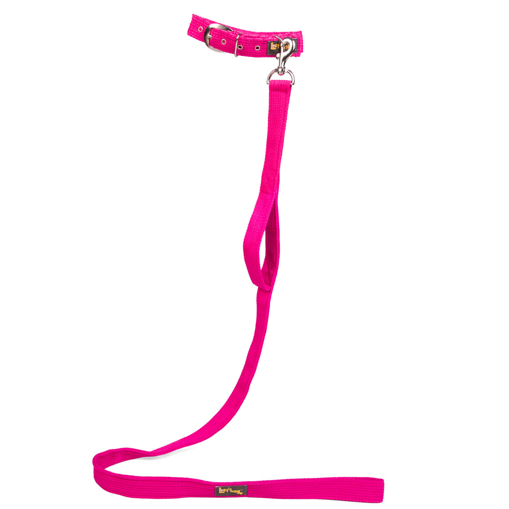 Let's Wag Double Handle Fabric Leash for Dogs (Pink) image 5