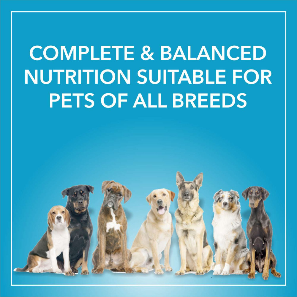 Purepet Chicken & Vegetable Adult Dog Dry and Wet Food Combo image 6
