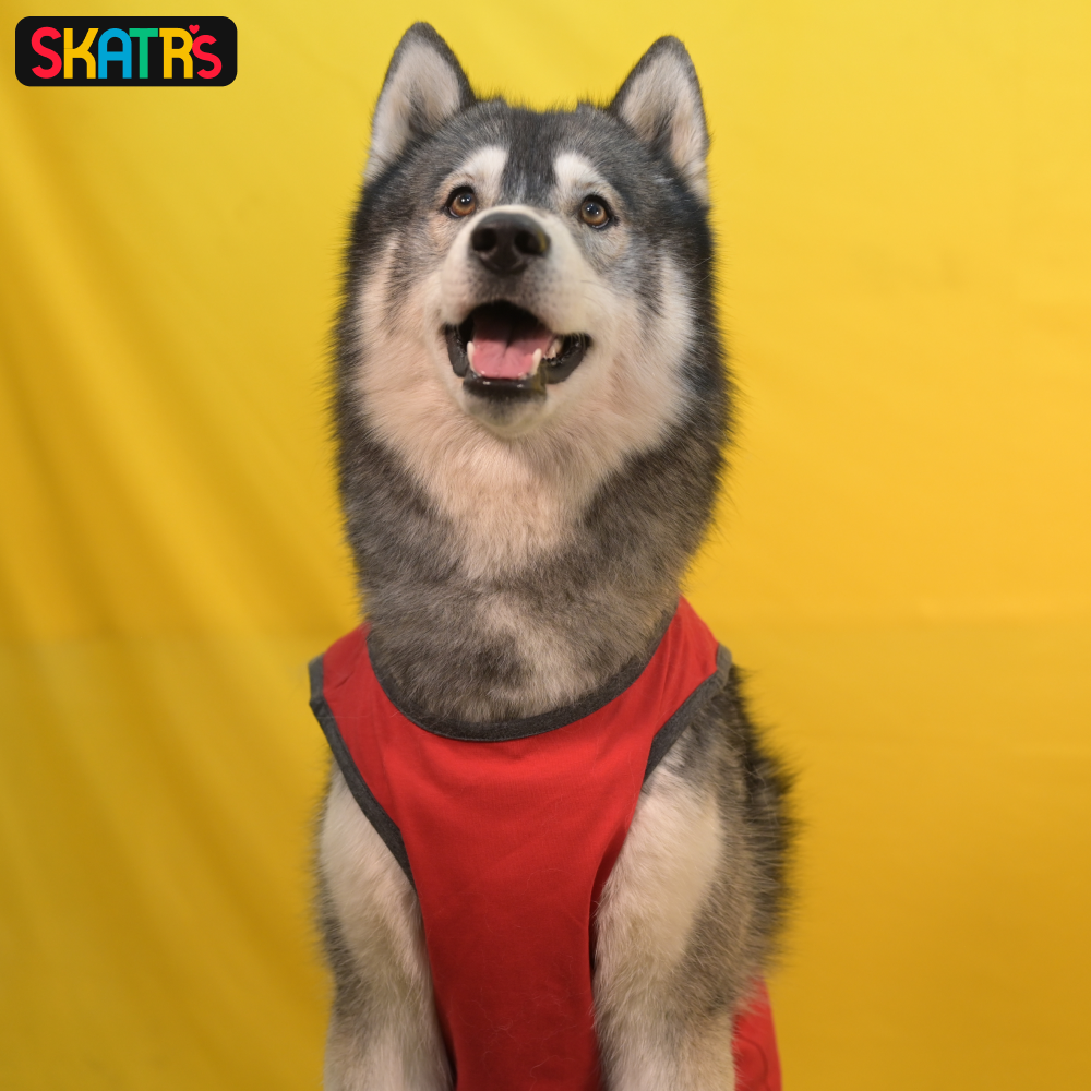 Skatrs Sloppy Kisser Printed Summer Cotton T Shirt for Dogs and Cats (Red) image 4
