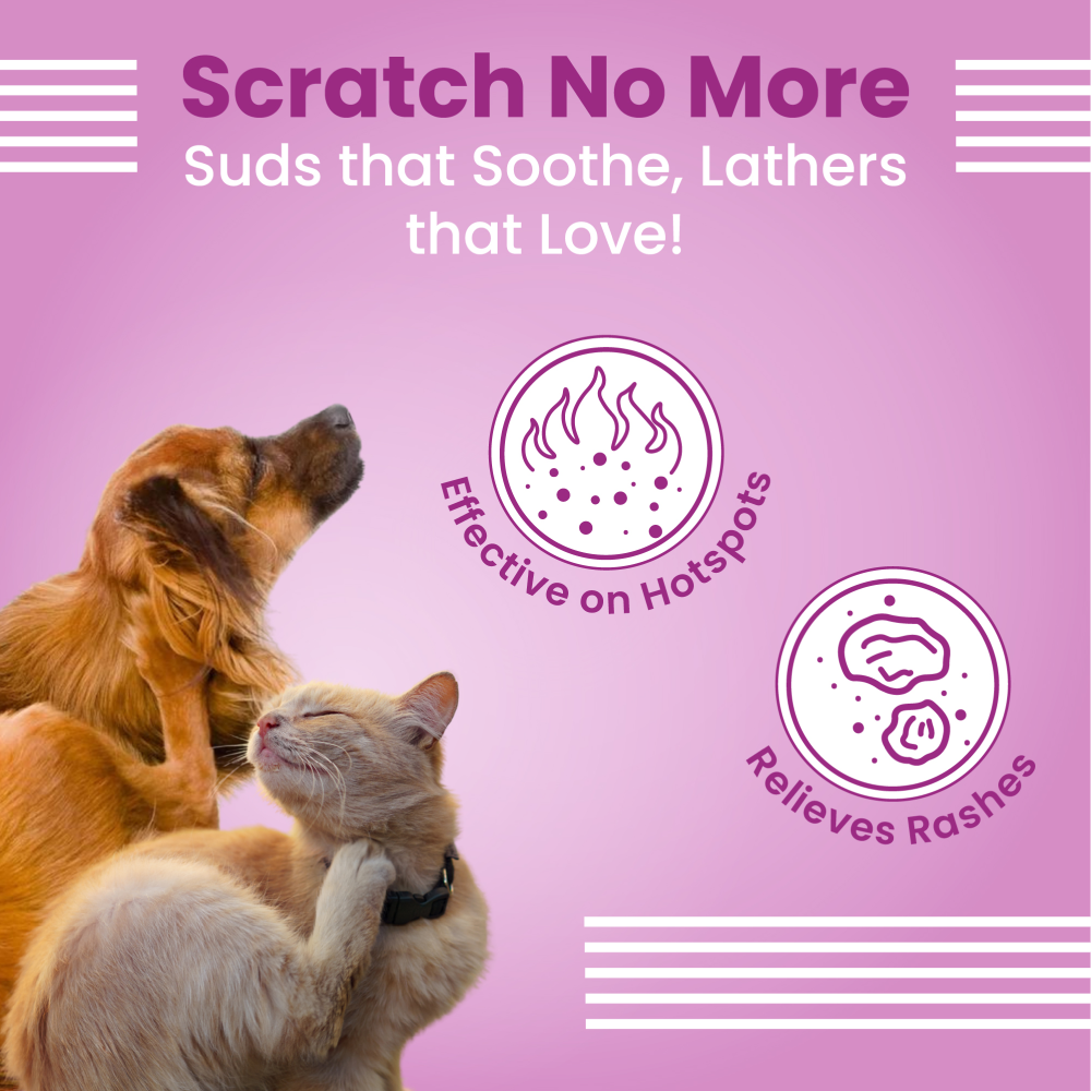 Bark Out Loud Allergy and Itch Relief Shampoo for Dogs and Cats image 5