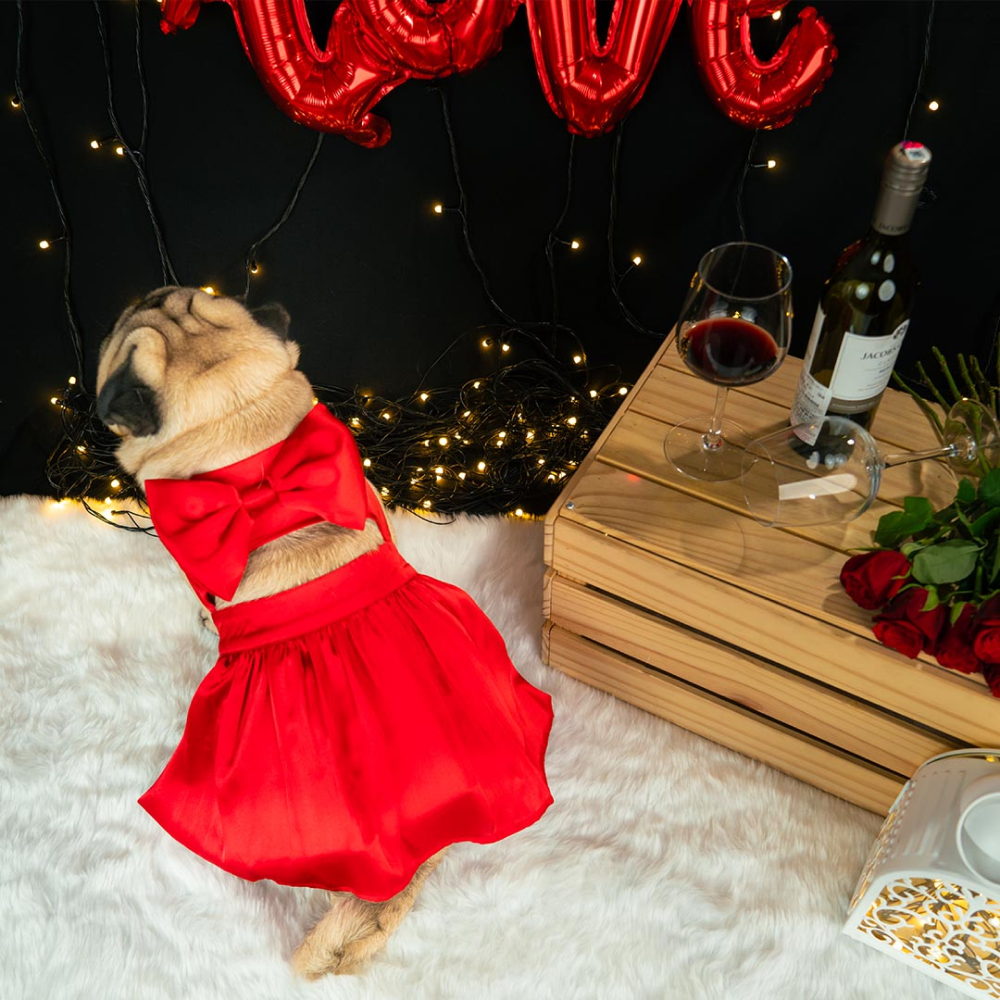 Dogobow Little Dress for Cats and Dogs (Red) image 2