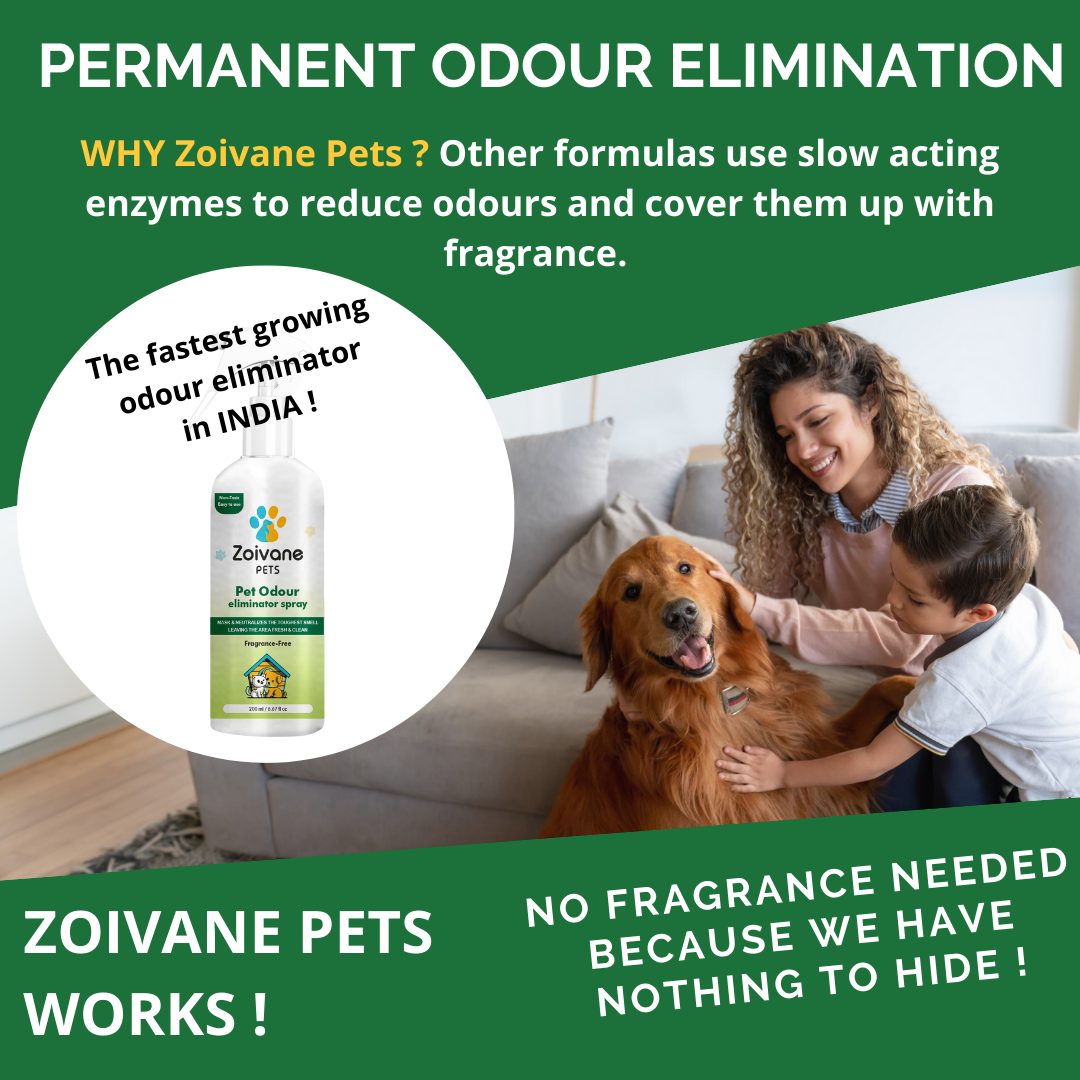 Zoivane  Pets Odour Eliminator for Dogs and Cats image 7