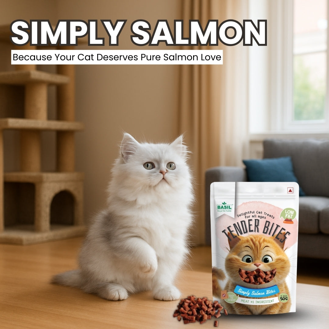 Basil Tender Bites Simply Salmon Cat Treats image 5
