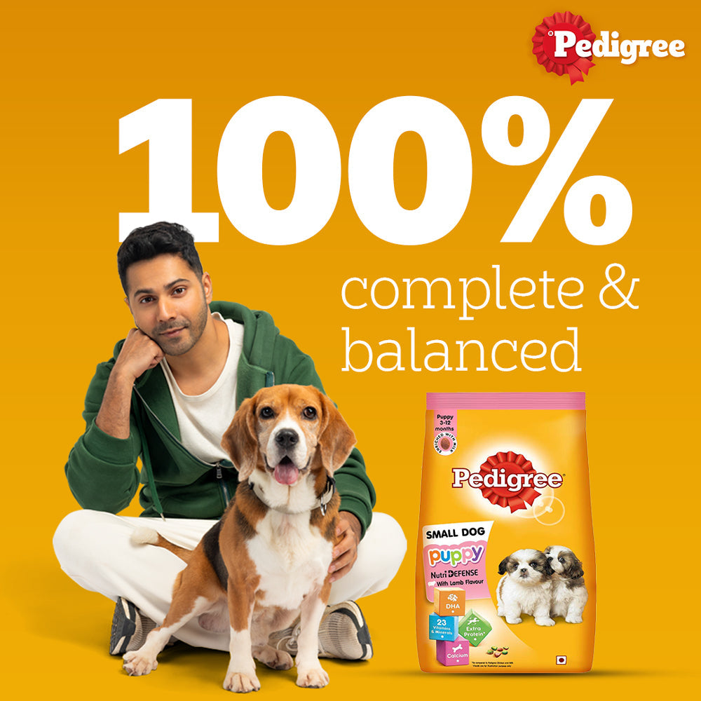 Pedigree Lamb & Milk Small Puppy Dry Food and Lamb Flavour Chunks in Gravy Puppy Wet Food Combo image 10
