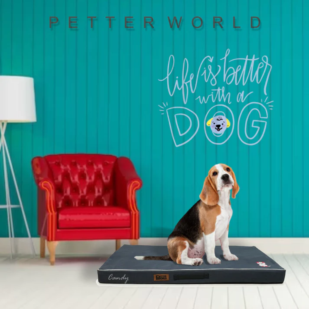 Petter World Comfort Flat Foam Bed for Dogs (Autumn Grey) image 2