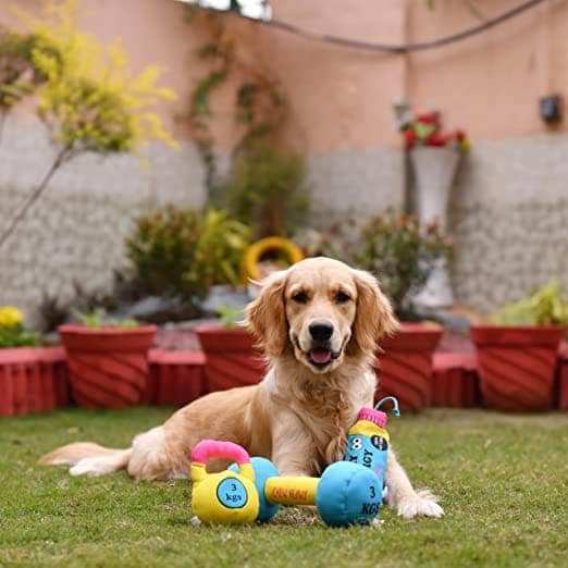 Goofy Tails Gym Series Kettlebell Plush Toy for Dogs | For Soft Chewers (Yellow) image 5