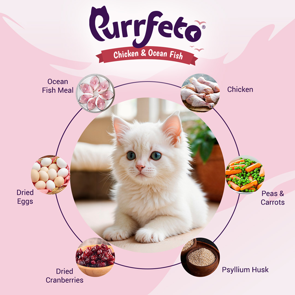 Purrfeto Chicken and Ocean Fish Kitten Cat Dry Food image 3