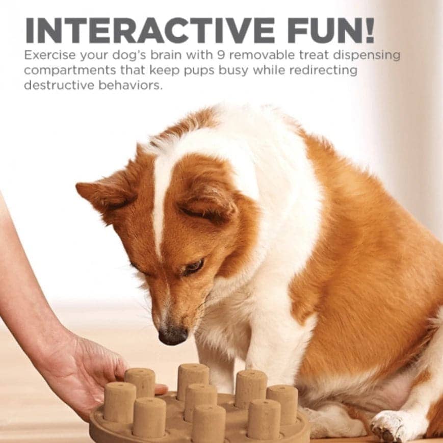 Outward Hound Nina Ottosson Smart Composite Game for Dogs (Orange, Level 1 Beginner) image 9
