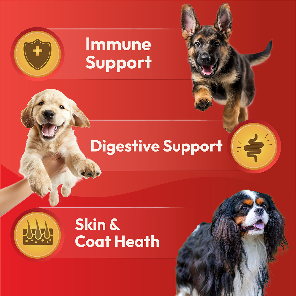 DatGud Chicken & Brown Rice Puppy Dog Dry Food (Buy 1 Get 1 Free) image 10