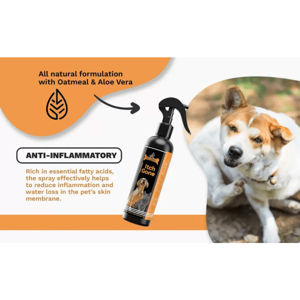 DOGZ & DUDEZ Oatmeal Itchgone for Dogs and Cats image 3