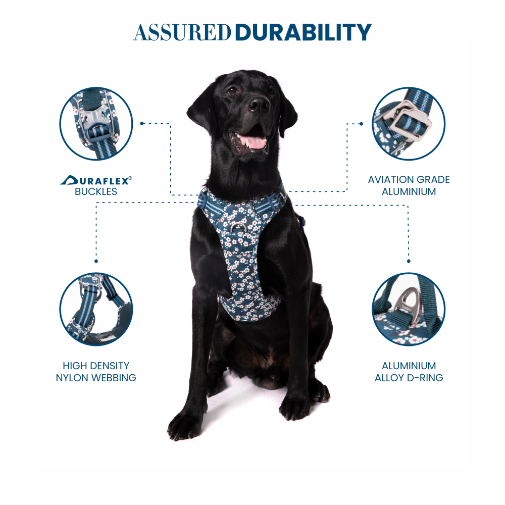 Truelove Floral No Pull 3M Reflective Harness for Dogs (Saxony Blue) image 4