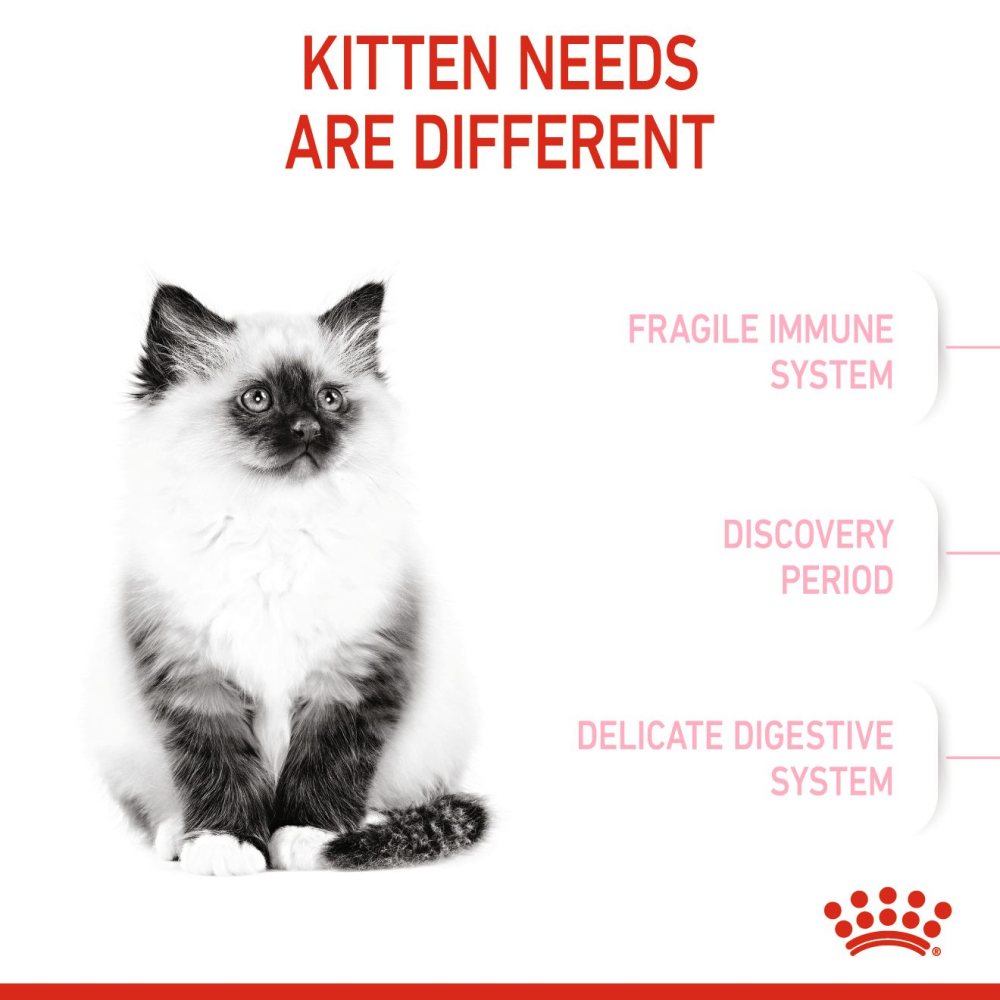 Royal Canin Kitten Cat Dry and Wet Food Combo image 4