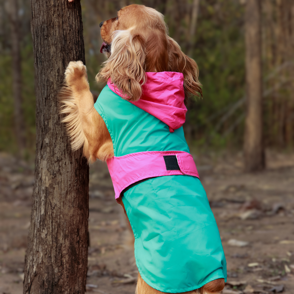 Pet Set Go Splash Waterproof Raincoat for Dogs (Aqua Pink) image 5