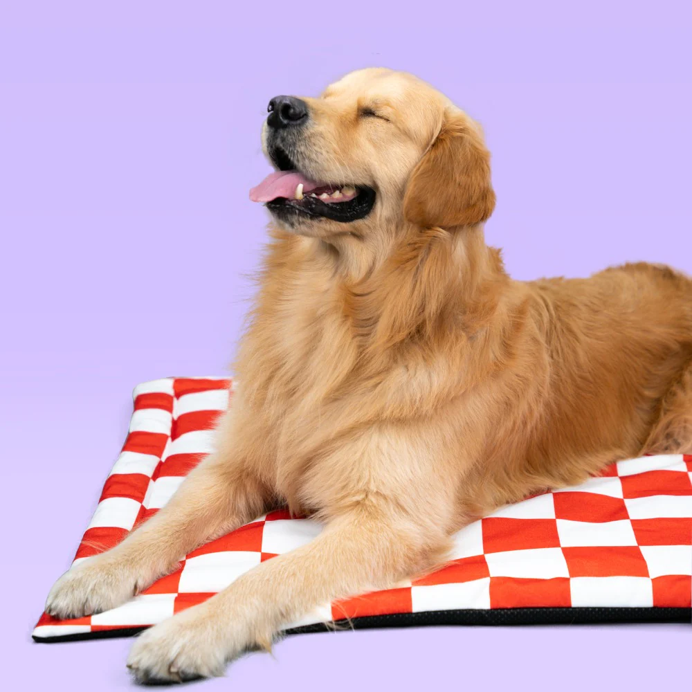 Pet Set Go Cozy Checks Mat for Dogs and Cats (Red) image 4