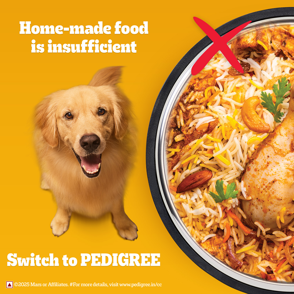 Pedigree Chicken Biryani Flavour Adult Dog Dry Food image 4