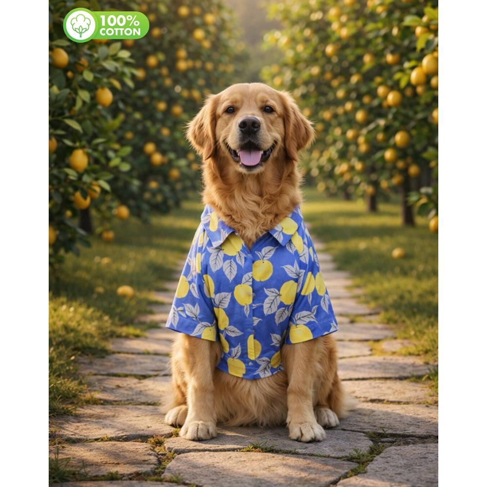 15 Furries Lemon Printed Cotton Shirts for Dogs (Santorini Blue)