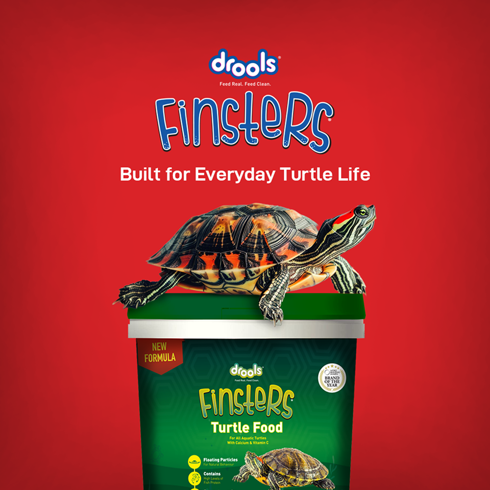 Drools Finsters Turtle Food image 6