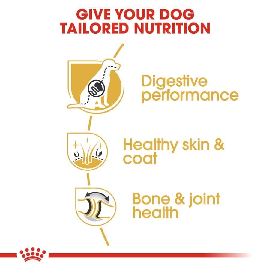 Royal Canin German Shepherd Adult Dog Dry Food image 4