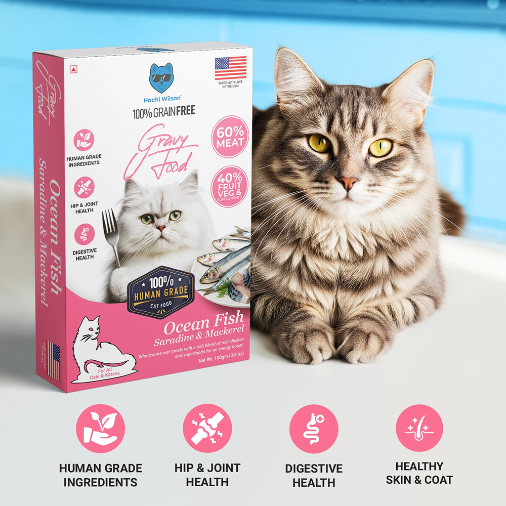 Hachi Wilson Premium Ocean Fish Sardine and Mackerel Gravy Cat Wet Food image 3