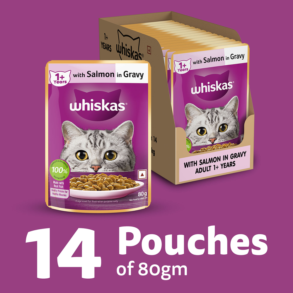 Whiskas Adult Cat Food Combo |Ocean Fish Dry & Salmon in Gravy Wet image 3