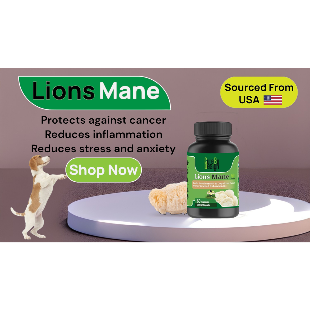 Cure By Design Lion Mane Mushroom Capsules for Dogs and Cats image 5