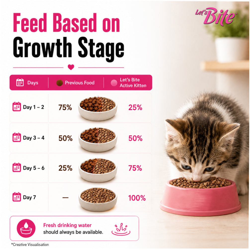 Let's Bite Active Kitten Ocean Fish Cat Dry Food (Buy 1 Get 1 Free) image 10