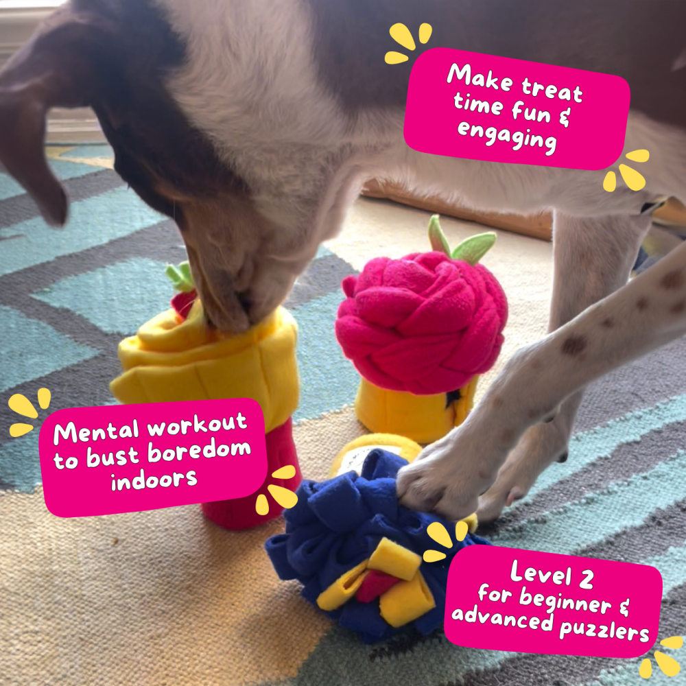 For The Love Of Dog Pink Lemonade Snuffle Pupcake Toy for Dogs image 5