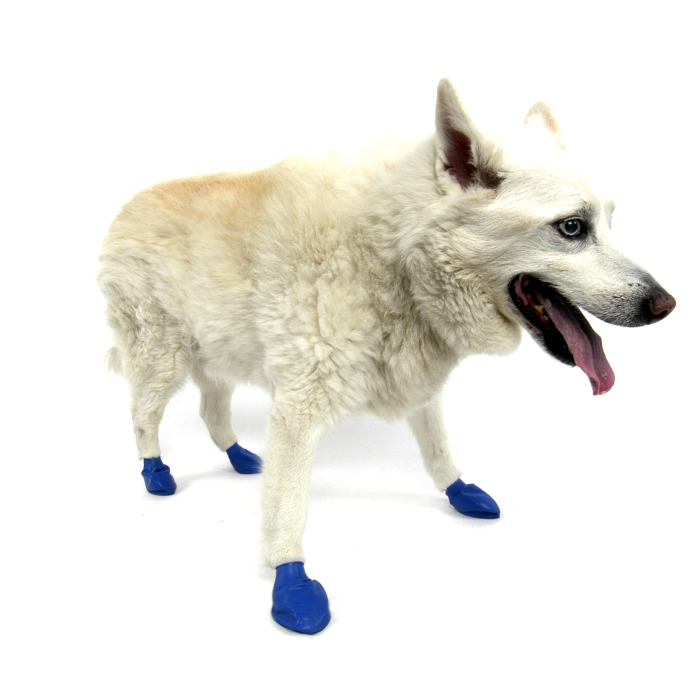 Protex PawZ Disposable and Reusable Boots for Dogs (Blue) image 2