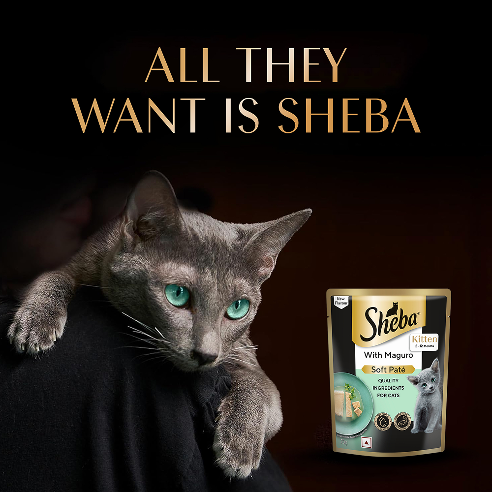 Sheba Maguro Pate Rich Premium Kitten Cat Wet Food image 9