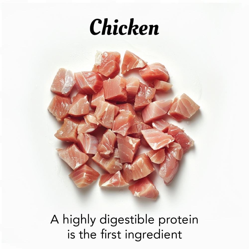 Fidele Plus Fresh Chicken & Egg with Vegetables Dog Wet Food image 8